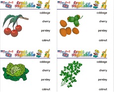 Holzcomputer fruit-vegetable 13.pdf